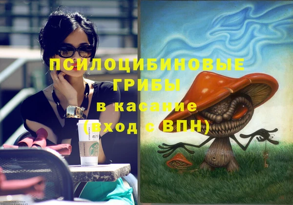 молекула духа Армянск
